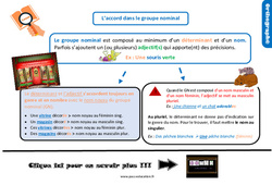 Accord dans le groupe nominal - Cours, Leçon, trace écrite : Primaire 5 - PDF à imprimer