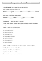 Synonymes et contraires - Exercices - Vocabulaire : Primaire 5 - PDF à imprimer