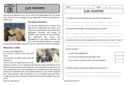 Les oursons - Lecture documentaire - Compréhension : Primaire 2 - PDF à imprimer