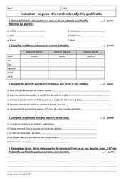 Genre et nombre des adjectifs qualificatifs - Examen Evaluation : Primaire 6 - PDF à imprimer