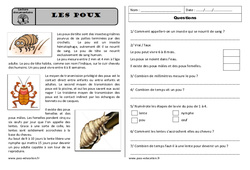 Les poux - Lecture documentaire : Primaire 2 - PDF à imprimer