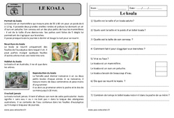 Le koala - Lecture documentaire : Primaire 2 - PDF à imprimer
