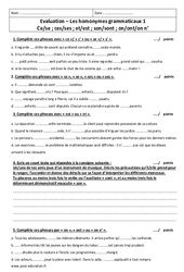 Homonymes grammaticaux - Examen Contrôle avec le corrigé : Primaire 6 - PDF à imprimer