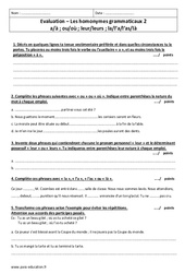 Homonymes grammaticaux - Examen Contrôle  : Primaire 6 - PDF à imprimer