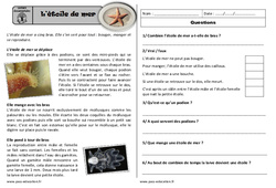 Etoile de mer - Lecture compréhension : Primaire 2 - PDF à imprimer