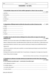 Propre - Commun - Examen Contrôle sur le nom : Primaire 6 - PDF à imprimer