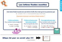Les lettres finales muettes - Cours, Leçon, trace écrite : Primaire 3 - PDF à imprimer