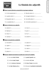 Le féminin des adjectifs - Exercices, révisions : Primaire 3 - PDF à imprimer