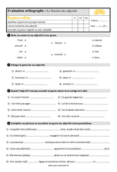 Le féminin des adjectifs - Évaluation, bilan : Primaire 3 - PDF à imprimer