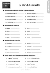Le pluriel des adjectifs - Exercices, révisions : Primaire 3 - PDF à imprimer