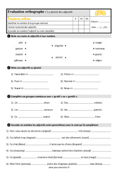 Le pluriel des adjectifs - Évaluation, bilan : Primaire 3 - PDF à imprimer