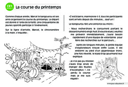 La course du printemps - Lecture compréhension - Histoire illustrée - Niveau 2 : Primaire 2 - PDF à imprimer