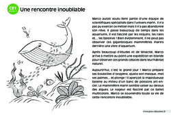 Une rencontre inoubliable - Lecture compréhension - Histoire illustrée - Niveau 2 : Primaire 2 - PDF à imprimer