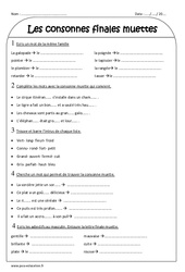 Consonnes finales muettes - Exercices  : Primaire 3 - PDF à imprimer