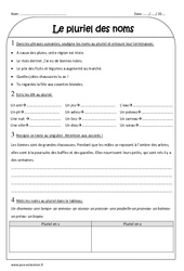 Pluriel des noms - Exercices  : Primaire 3 - PDF à imprimer