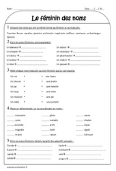Féminin des noms - Exercices  : Primaire 3 - PDF à imprimer