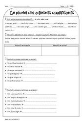 Pluriel des adjectifs qualificatifs - Exercices corrigés : Primaire 3 - PDF à imprimer