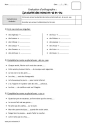 Pluriel des noms en al et aux - Bilan : Primaire 3 - PDF à imprimer
