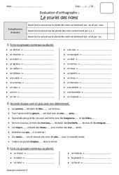 Pluriel des noms - Bilan avec le corrigé : Primaire 4 - PDF à imprimer
