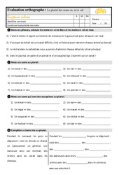 Le pluriel des noms en - al et - ail - Évaluation, bilan : Primaire 3 - PDF à imprimer