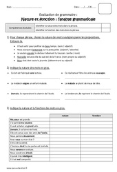 Nature et fonction - Bilan - Analyse grammaticale : Primaire 5 - PDF à imprimer