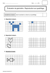 Reproduction sur quadrillage - Bilan : Primaire 2 - PDF à imprimer