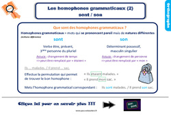 Les homophones grammaticaux sont / son - Cours, Leçon, trace écrite : Primaire 3 - PDF à imprimer