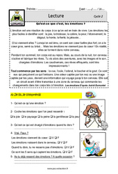 Qu'est - ce que c'est, les émotions ? - Lecture - EDL : Primaire 2, 3 - PDF à imprimer