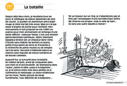 La bataille - Lecture compréhension - Histoire illustrée - Niveau 3 : Primaire 2 - PDF à imprimer