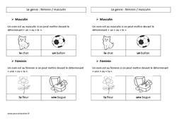 Genre des noms - Cours, Leçon de grammaire : Primaire 3 - PDF à imprimer