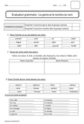 Genre et nombre du nom - Examen Evaluation - Bilan : Primaire 3 - PDF à imprimer