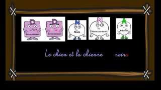 Accords dans le groupe nominal - Classe inversée : Primaire 4