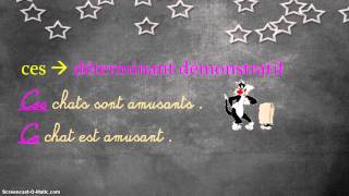 Homophones grammaticaux - Classe inversée : Primaire 4