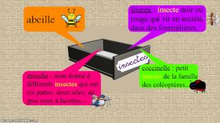 Mot étiquette ou nom générique - Classe inversée : Primaire 3