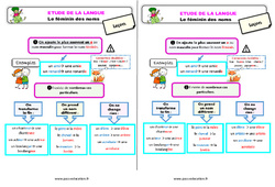 Le féminin des noms - Étude de la langue - Cours, Leçon : Primaire 3 - PDF à imprimer
