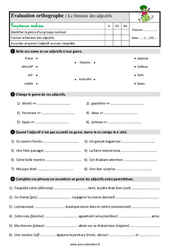 Le féminin des adjectifs - Étude de la langue - Examen Evaluation avec les corrigés : Primaire 3 - PDF à imprimer