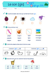 Le son [gn] - Etude du code / les sons : Primaire 1, 2 - PDF à imprimer