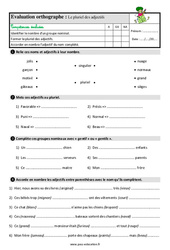 Le pluriel des adjectifs - Étude de la langue - Examen Evaluation avec les corrigés : Primaire 3 - PDF à imprimer