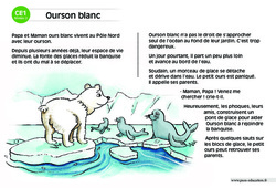 Ourson blanc - Lecture compréhension - Histoire illustrée - Niveau 2 : Primaire 2 - PDF à imprimer