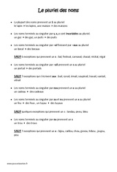 Pluriel des noms - Cours, Leçon : Primaire 3 - PDF à imprimer