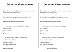 Lettres finales muettes - Cours, Leçon : Primaire 3 - PDF à imprimer