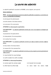 Pluriel des adjectifs - Cours, Leçon : Primaire 3 - PDF à imprimer