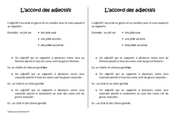 Pluriel des adjectifs - Cours, Leçon : Primaire 4 - PDF à imprimer