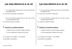 Féminin des noms en é, té, tié - Cours, Leçon : Primaire 4 - PDF à imprimer