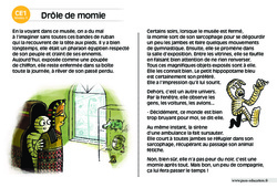 Drôle de momie - Lecture compréhension - Histoire illustrée - Niveau 3 : Primaire 2 - PDF à imprimer