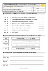 Les homophones lexicaux- Fiches foie/fois/Foix/foi - sot/seau/sceau/saut - voie/voix/ vois/voit - Évaluation, bilan : Primaire 4 - PDF à imprimer