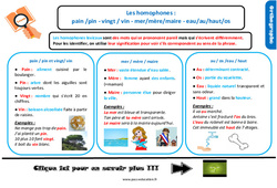 Les homophones lexicaux- Fiches pin / pain - vingt / vin mer / mère / maire au / eau / os / haut - Cours, Leçon, trace écrite : Primaire 4 - PDF à imprimer