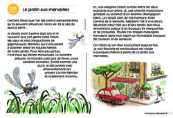 Le jardin aux merveilles - Lecture compréhension - Histoire illustrée - Niveau 3 : Primaire 2 - PDF à imprimer