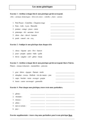 Noms génériques - Exercices - Vocabulaire : Primaire 3 - PDF à imprimer