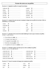 Former des mots avec un préfixe - Exercices - Vocabulaire : Primaire 3 - PDF à imprimer